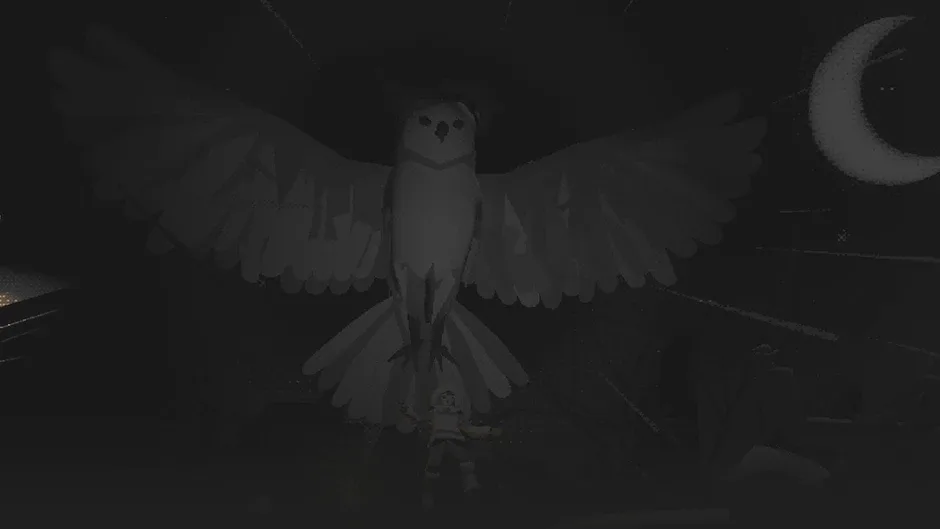 Кадър от The Bird of the North