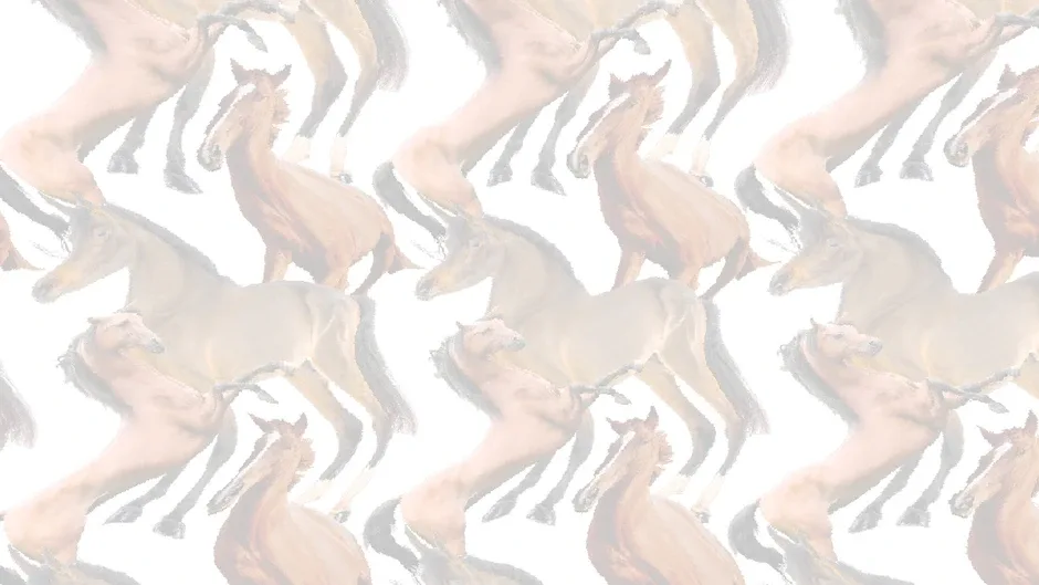 Horse Magnifier: The Full Horse
