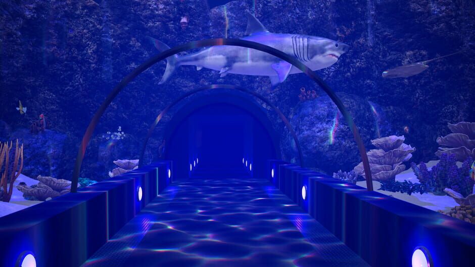 Chunky Cats Games Aquarium Anomaly