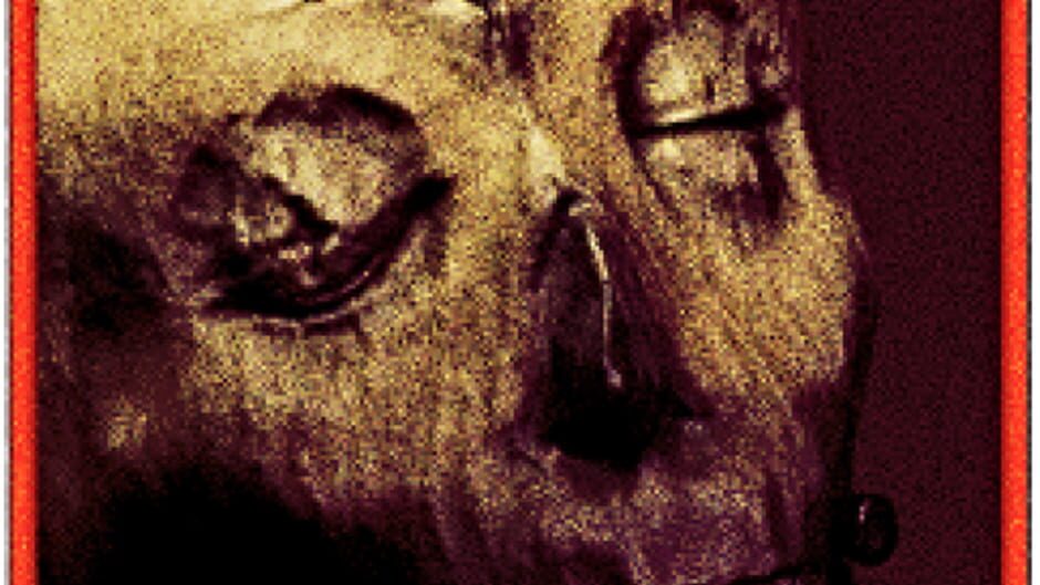Studio Ortica The Old Flesh of Nuraga
