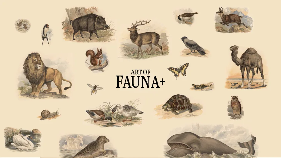 Art of Fauna: Cozy Puzzles+