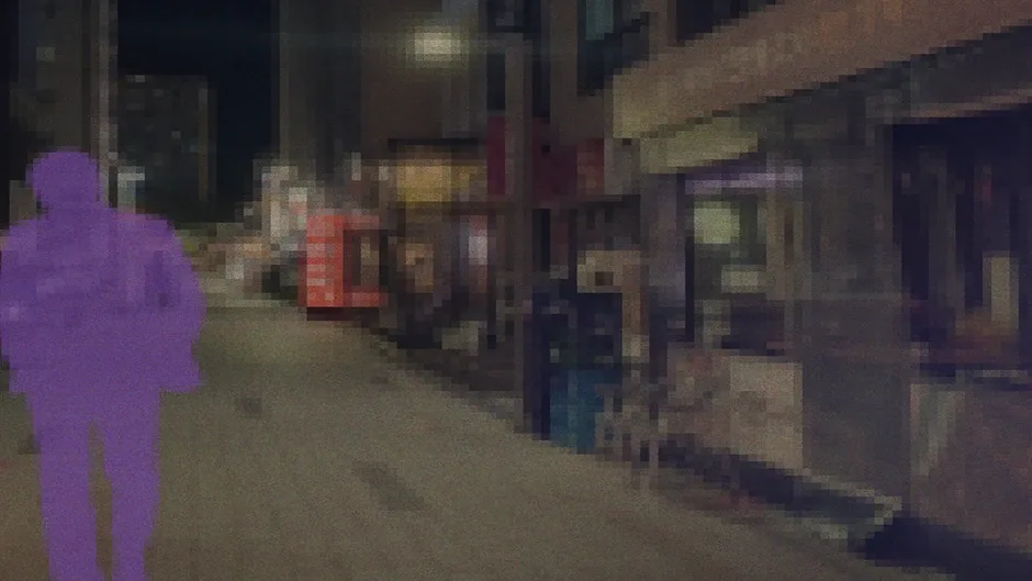 Hirugao