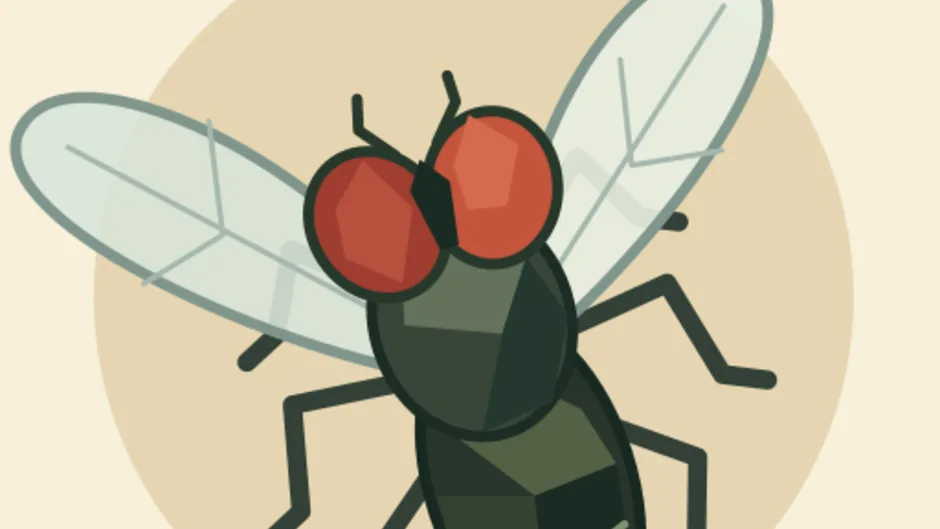Кадър от Just One More Fly