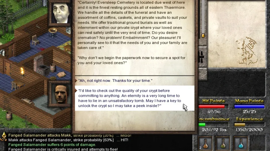 Eschalon: Book I, captura de tela 4