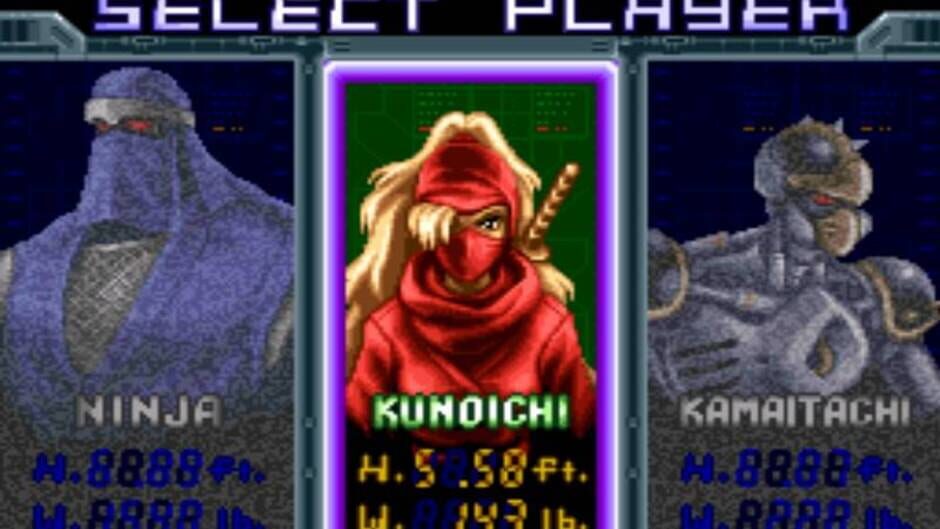 Ninja Warriors screenshot