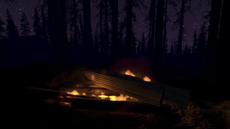 Fire Place Screenshot