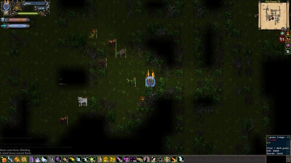 Tales of Maj'Eyal Screenshot