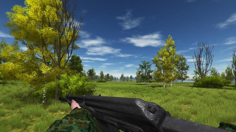 Duck Hunting Screenshot