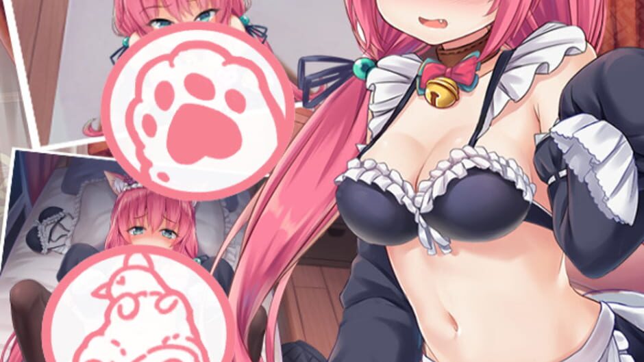 我有一个猫女仆
