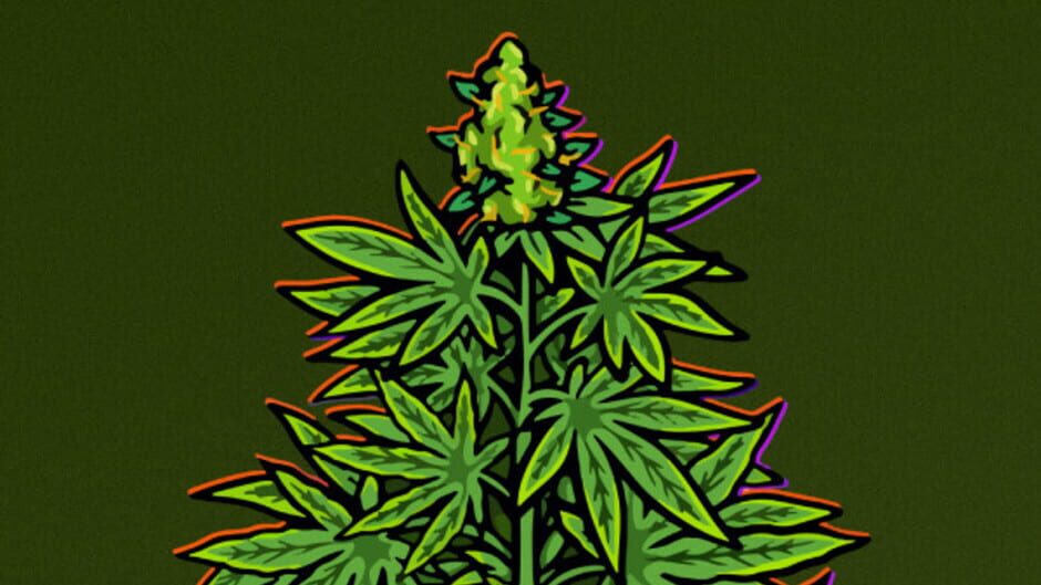 非法种植园