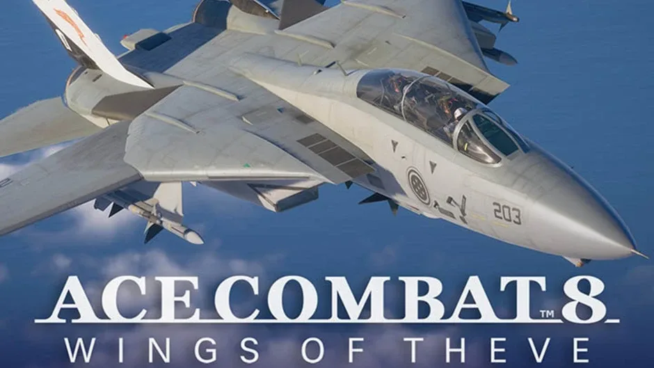 Ace Combat 8: Wings of Theve - Playable Aircraft: F-14A