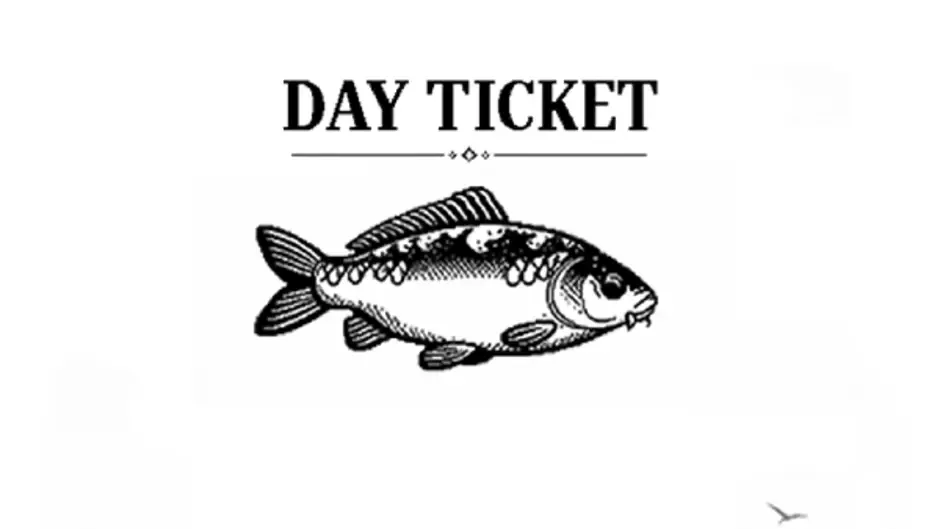 Day Ticket