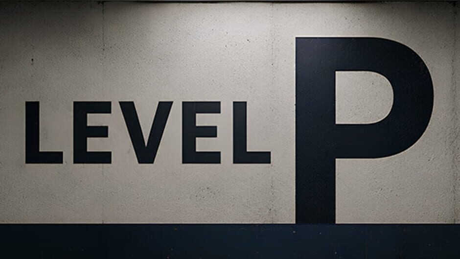 Level P