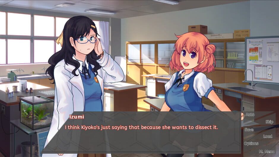 Main Character Simulator Screenshot