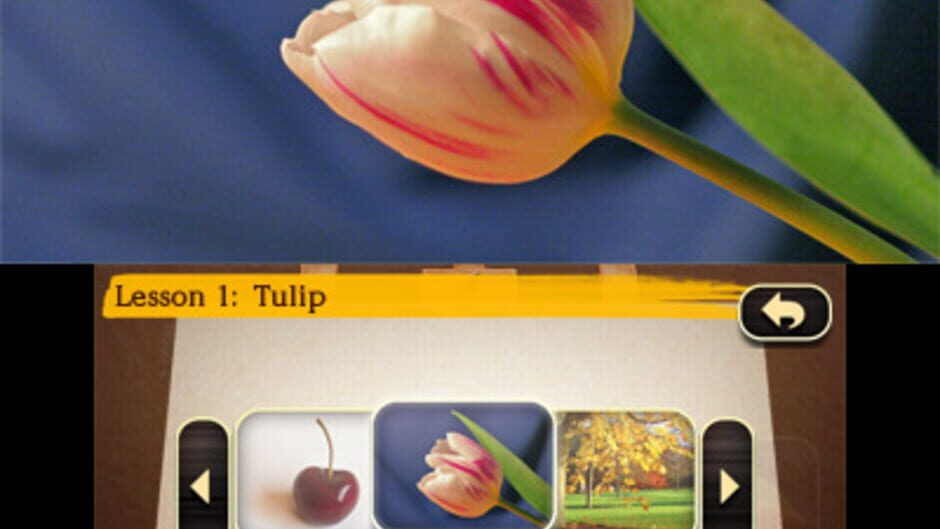 Art Academy: Lessons for Everyone! screenshot