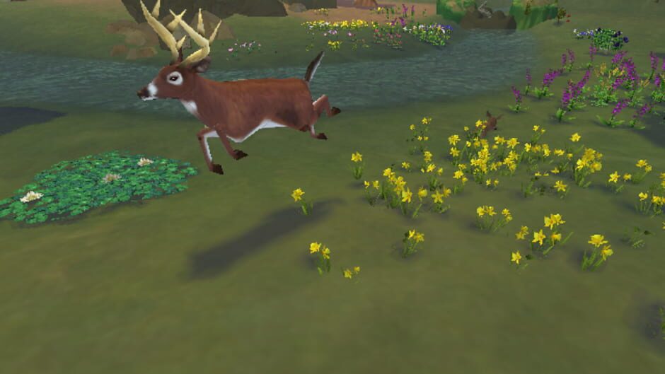 SimAnimals media thumbnail