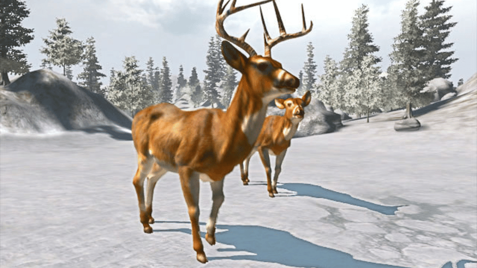 Cabela's Trophy Bucks Screenshot