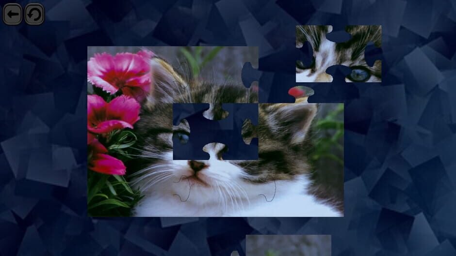 สกรีนช็อตจาก Puzzles for smart: Cats (รูปที่ 3)