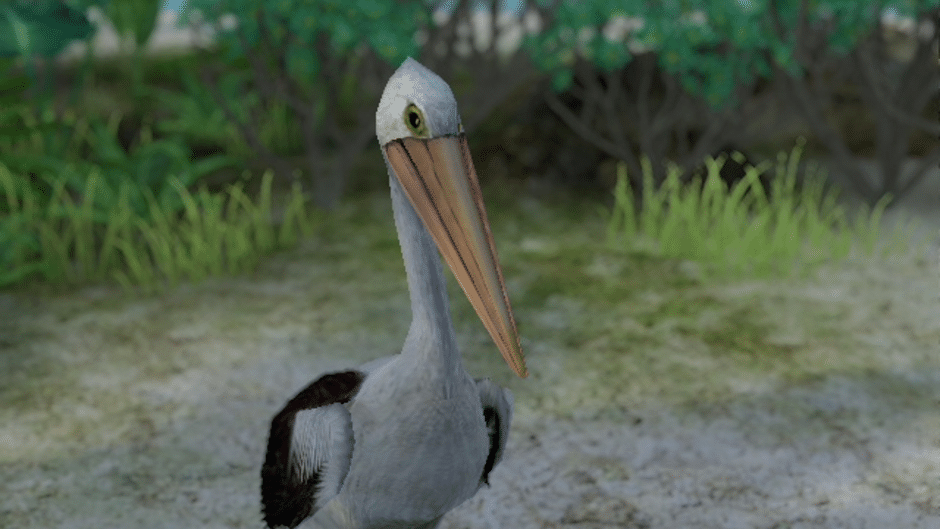 Pelican, EvoWorld.io Wiki