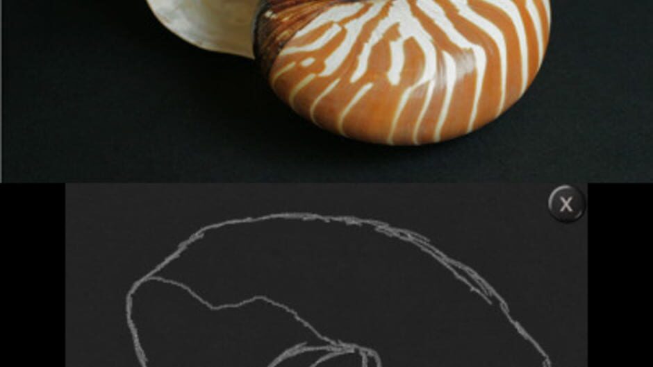 Art Academy: Lessons for Everyone! screenshot