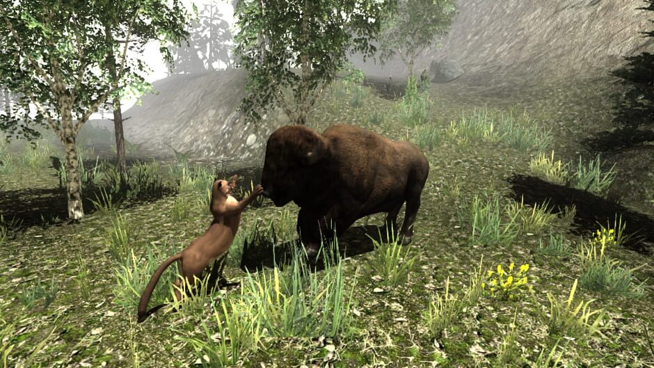Untamed: Life of a Cougar Screenshot