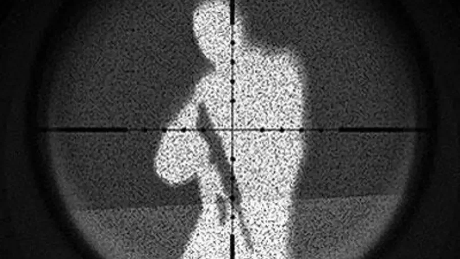Capture d'écran de l'article
