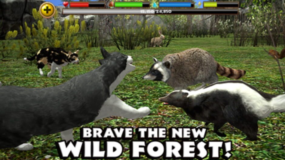 Stray Cat Simulator screenshot