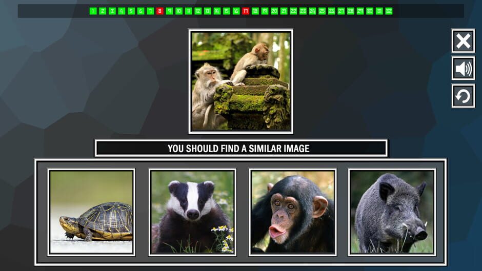 สกรีนช็อตจาก Repeat the image: Animals (รูปที่ 4)