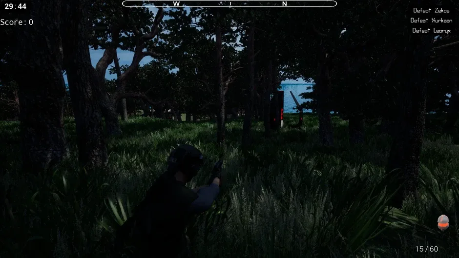 Capture d'écran de l'article