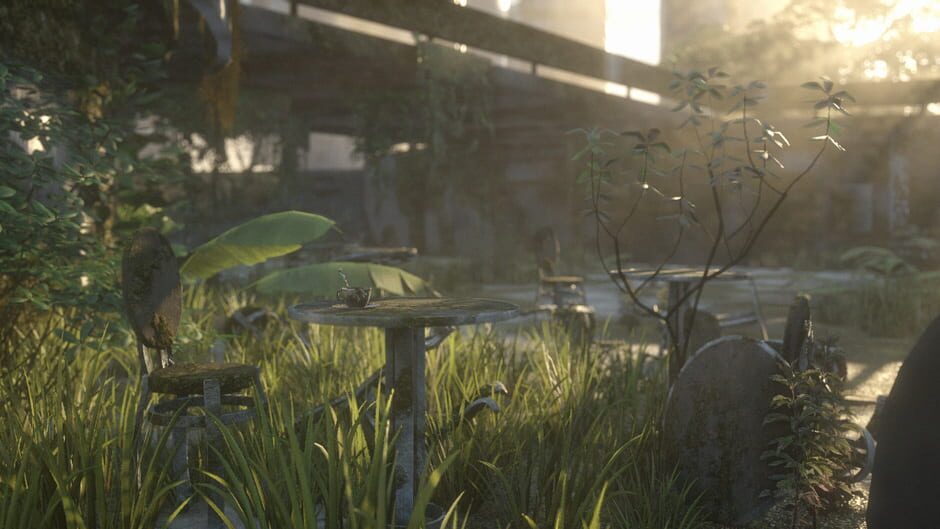 Screenshot Reset