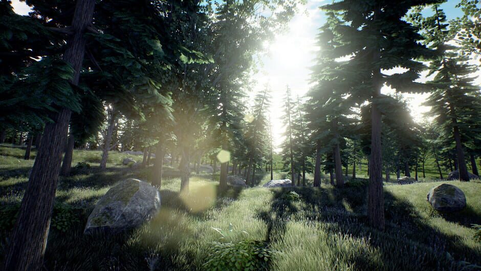 The Lost Island Screenshot