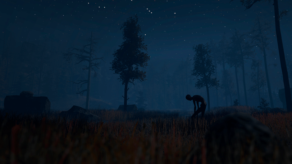 Through the Woods Screenshot