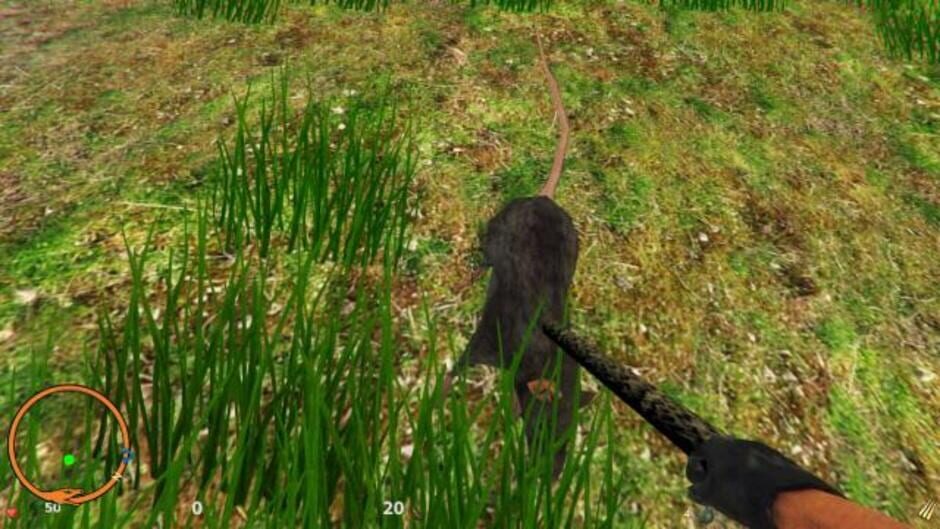 The Jungle Screenshot