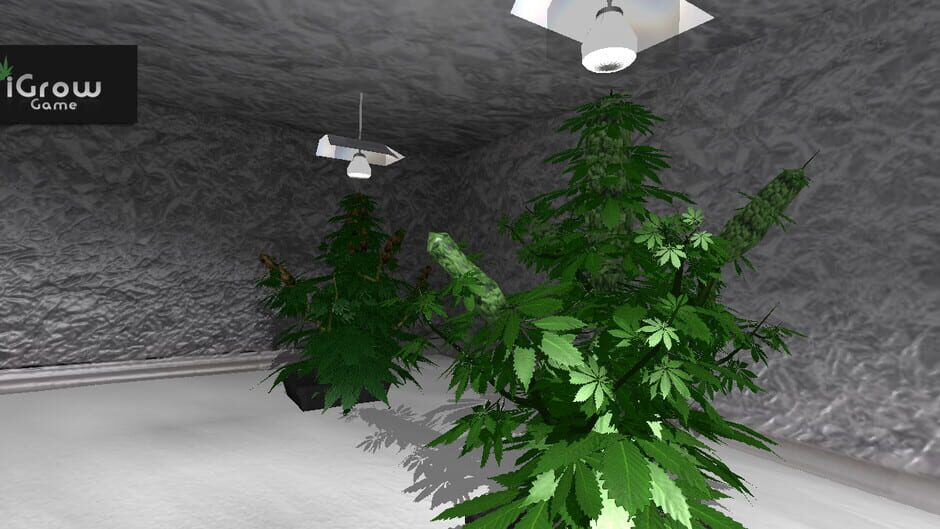 iGrow Game Screenshot