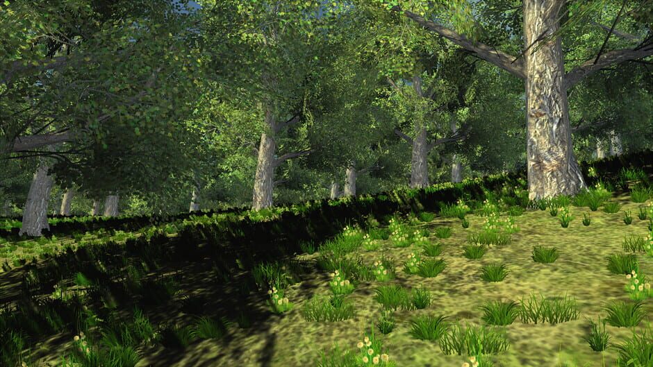 Trials of Wilderness Screenshot