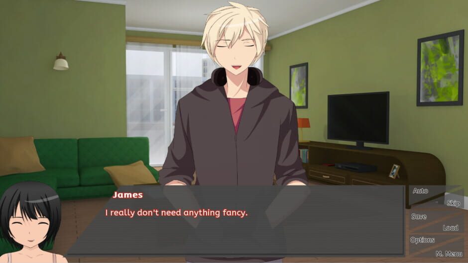 Frequent Flyer: A Long Distance Love Story Screenshot