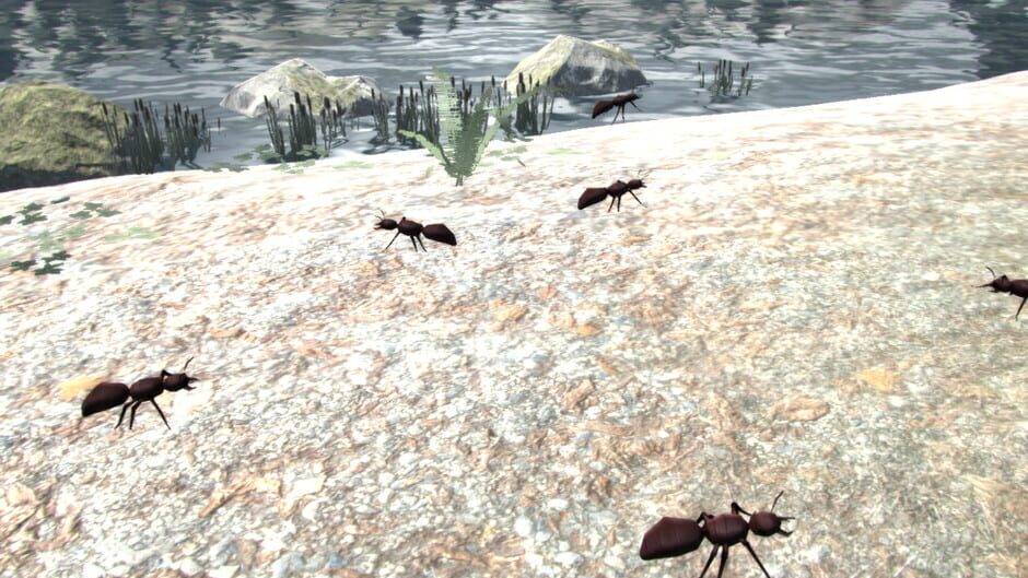 Screenshots Leisure Town