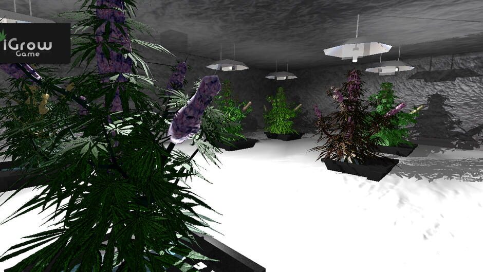 iGrow Game Screenshot