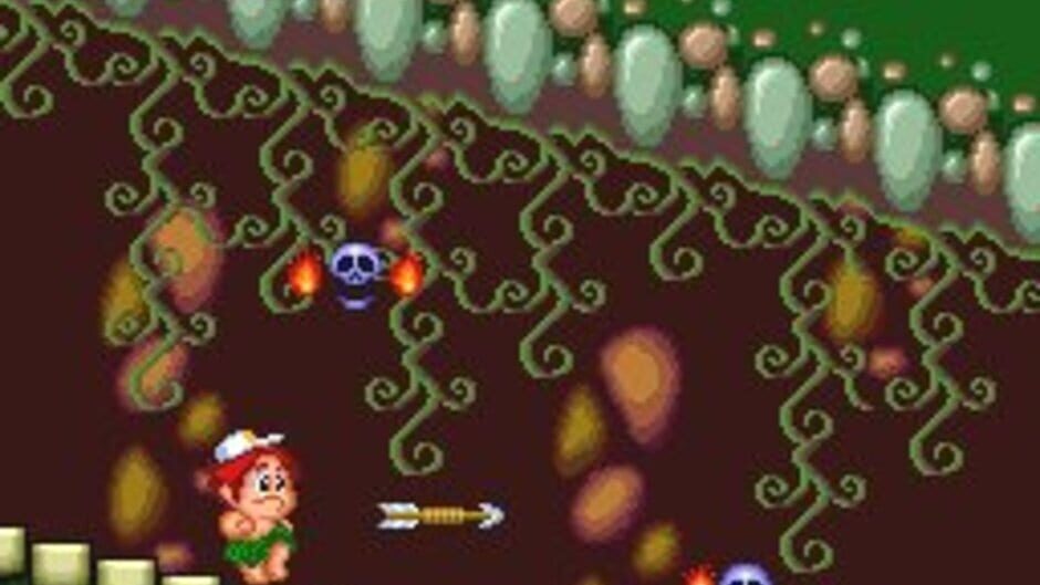 New Adventure Island screenshot