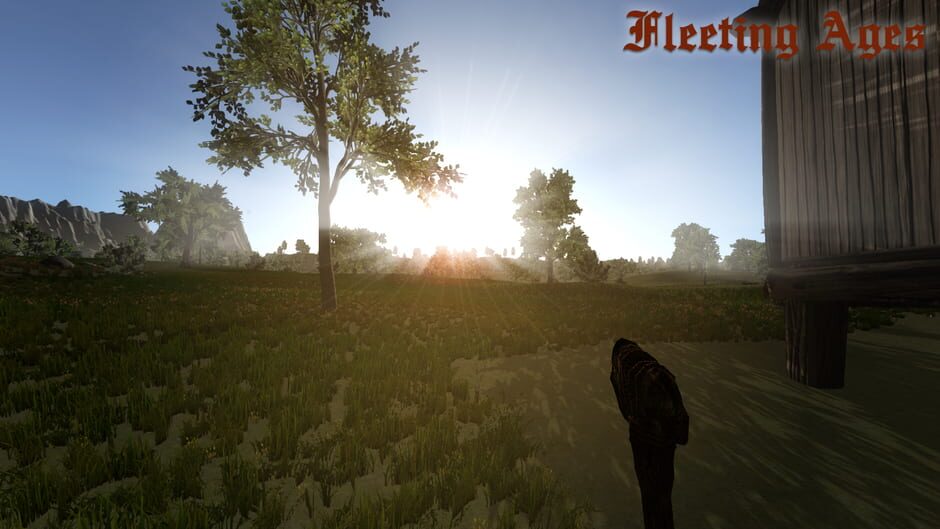 Fleeting Ages Screenshot