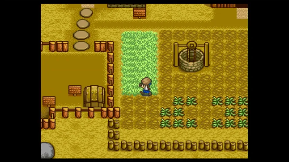Harvest Moon, captura de tela 2