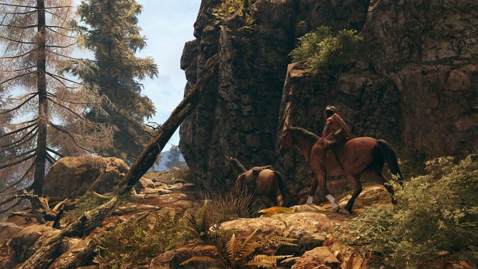 Screenshot This Land Is My Land
