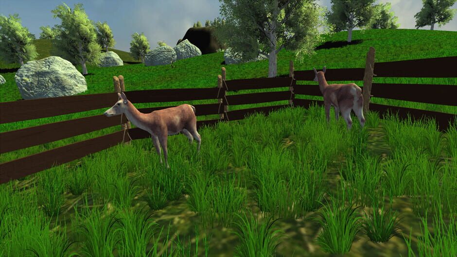 Trials of Wilderness Screenshot