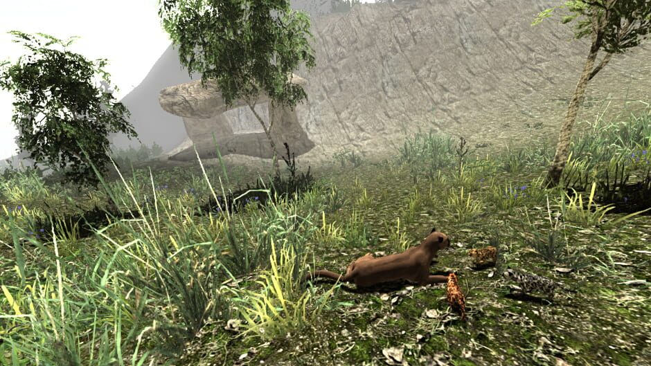 Untamed: Life of a Cougar Screenshot