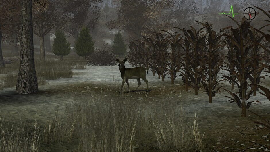 Whitetail Challenge Screenshot
