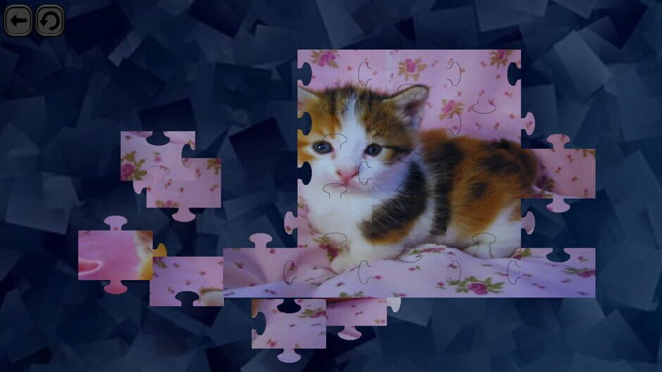 สกรีนช็อตจาก Puzzles for smart: Cats (รูปที่ 5)