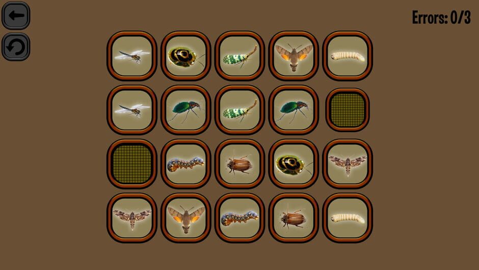 Animals Memory: Insect Screenshot