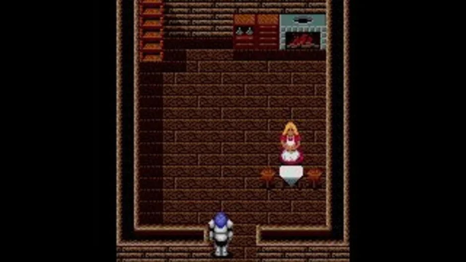 Sword of Vermilion screenshot 2