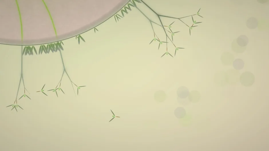 Eufloria