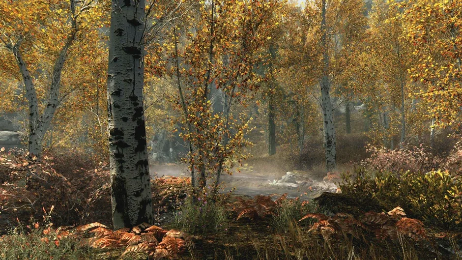 The Elder Scrolls V: Skyrim - Special Edition, captura de tela 1